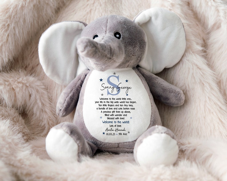 Personalised Teddy,New Baby Gift Newborn Gift,Baby Keepsake,Baby Girl,Baby Boy,Grandon,Granddaughter,Soft Toy,Bunny,New Parents,Niece,Nephew BLUE - no bag