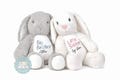Personalised Brother and Sister Soft Toy, Custom Name Teddy, New Baby Gift, Big & Little Brother Gift , Big Sister Gift, New Sibling