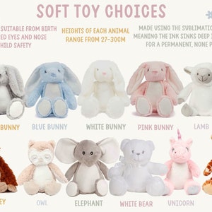 Personalised 1st Birthday Gift,First Birthday Gift,Boys,Girls,Keepsake,Granddaughter,Grandson,Baby Gift,Goddaughter,Godson,Bunny,Teddy image 3