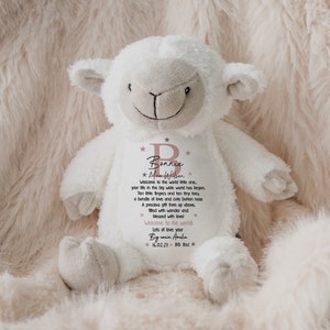 Personalised Teddy,New Baby Gift Newborn Gift,Baby Keepsake,Baby Girl,Baby Boy,Grandon,Granddaughter,Soft Toy,Bunny,New Parents,Niece,Nephew PINK - with bag