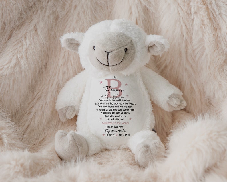 Personalised Teddy,New Baby Gift Newborn Gift,Baby Keepsake,Baby Girl,Baby Boy,Grandon,Granddaughter,Soft Toy,Bunny,New Parents,Niece,Nephew PINK - with bag