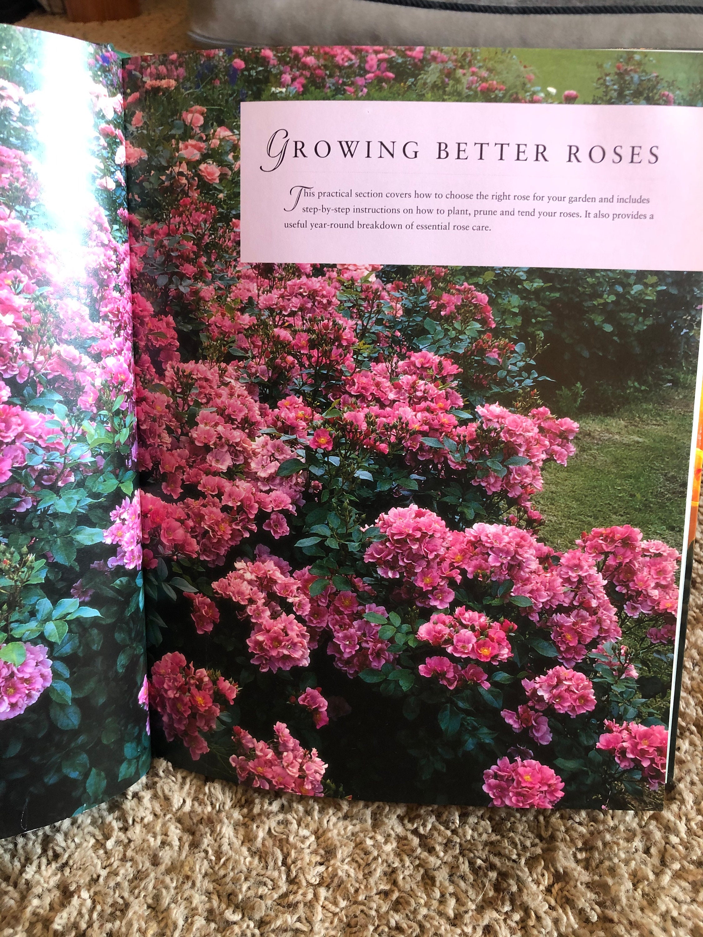 The Essential Rose Garden Book 1998 Etsy