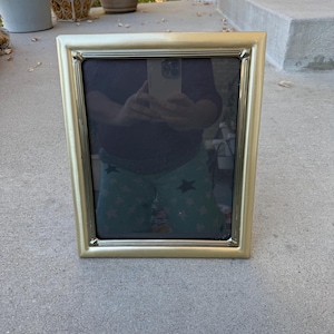 Silver/Gold 8x10 Picture Frame