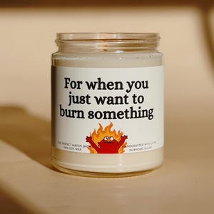 For when you just want to burn something funny pyro gift gag gifts boss gifts best friend gifts soy candles handmade candles