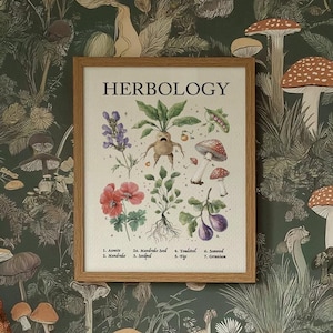 Herbology Art Etsy