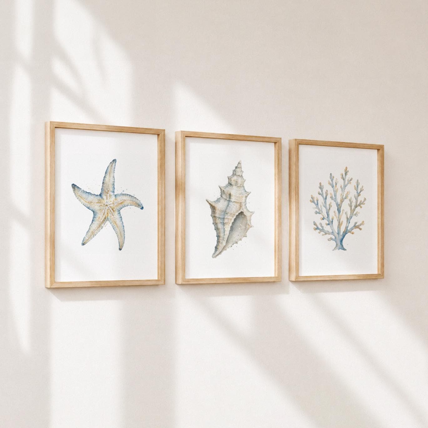 Coastal Wall Art Set of 3, Starfish Seashell Coral Minimalist Wall ...