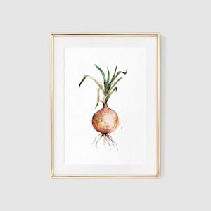 Onion Watercolor Print, Kitchen Wall Art, Onion Print, Food Print, Vegetable Painting, Watercolor Art, Kitchen Decor, Vegetable Art