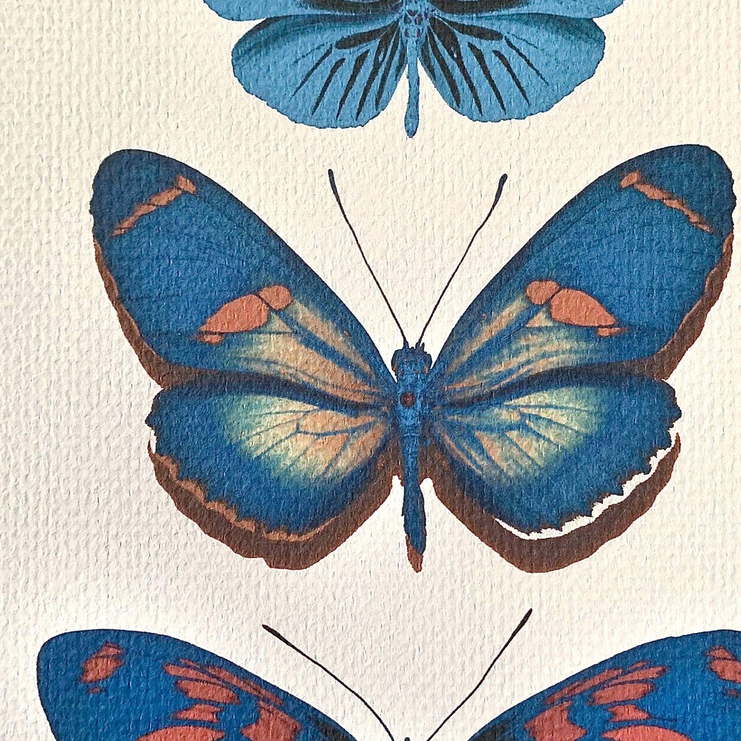 4 Set Butterfly Wall Art Prints Home & Living Art Wall Décor | Etsy