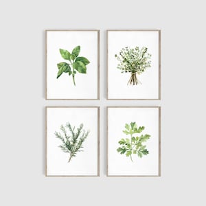 May include: Set of four watercolor prints featuring different herbs. Each print depicts a single herb, including basil, thyme, rosemary, and parsley, on a white background with a simple wooden frame.