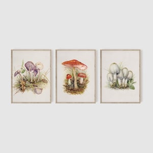 3 Set Mushroom Wall Decor, Fungi Art, Watercolor Art Prints, Vintage Art Prints, Nature Drawings