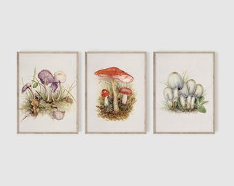 3 Set Mushroom Wall Decor, Fungi Art, Watercolor Art Prints, Vintage Art Prints, Nature Drawings