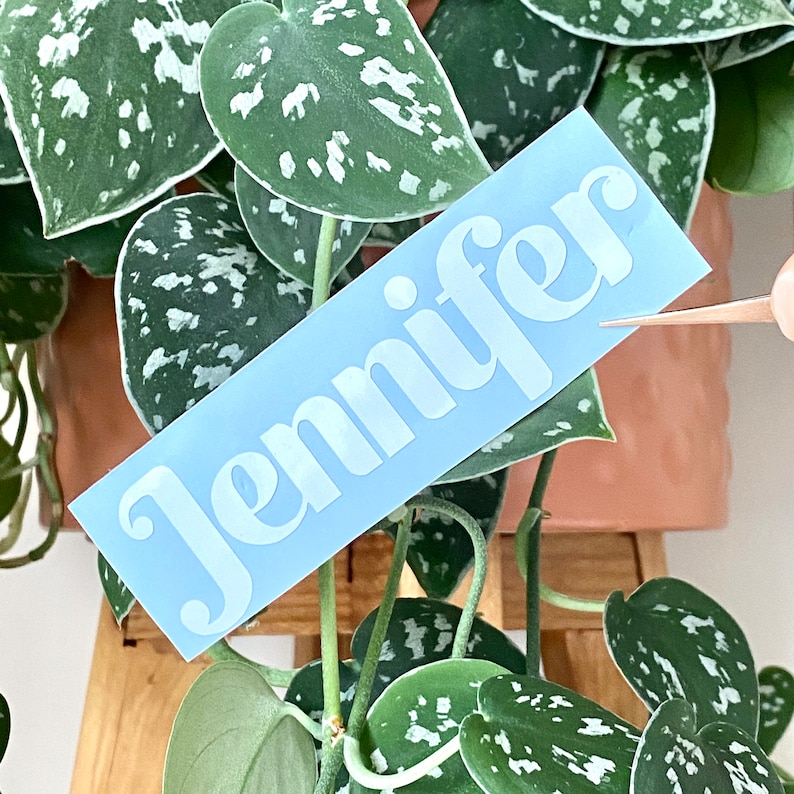 May include: A light blue rectangular sticker with the name "Jennifer" in white, cursive font. The sticker is held near a green plant with white speckles on its leaves. The plant is in a terracotta pot.