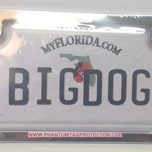 Motorcycle Clear License Plate Cover & Polished Chrome Metal Frame Combo