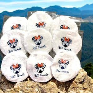 Disney Cheer Summit - Nationals - UCA - Varsity - Worlds - Mickey - Minnie Personalized Disney gift, Cheer Nationals Cheer 2025 Team gift d2
