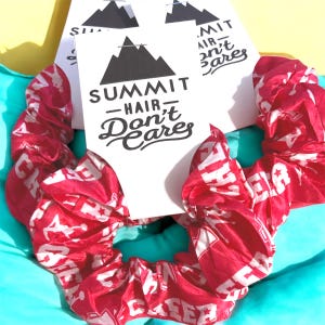 Cheer Summit Gift, Summit Hair, cheer summit , d2 summit cheer team gift , summit bound, the worlds, worlds cheer