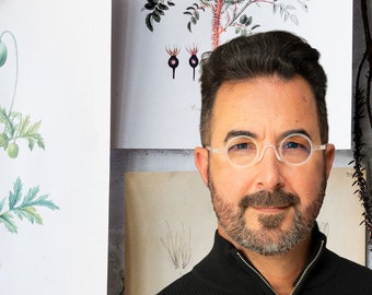 Oli - Gafas de lectura modernas y coloridas, con bloqueo de luz azul, unisex, a la moda, con aumento, para leer en pantalla, con funda blanda.