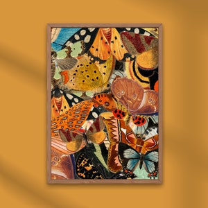 Butterfly Art Print, Vintage Butterfly Wing Collage, Boho Art Print, Butterfly Print, Instant Download