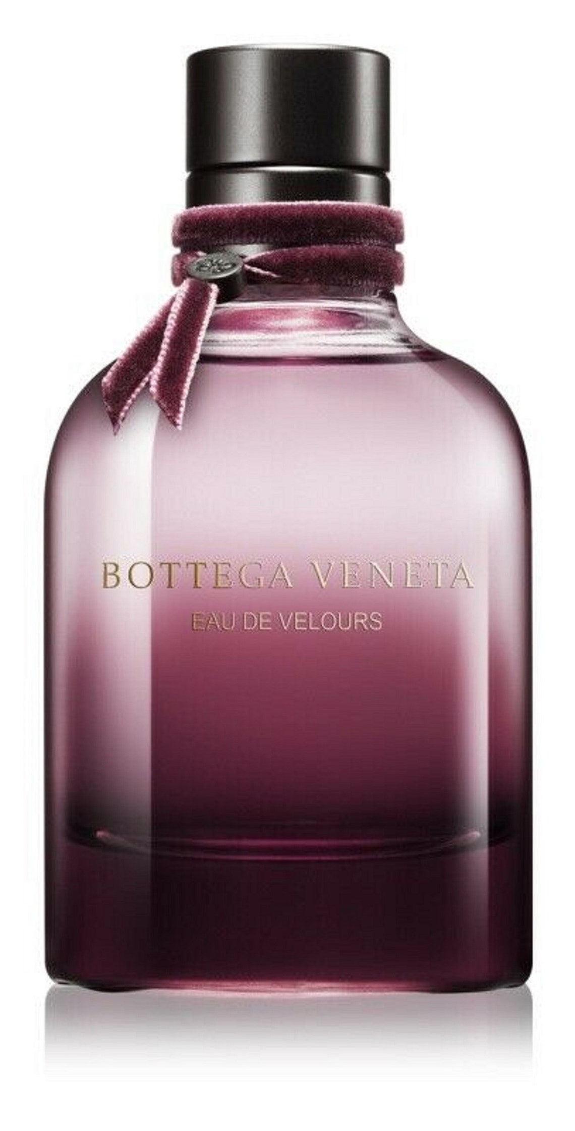 bottega veneta velours