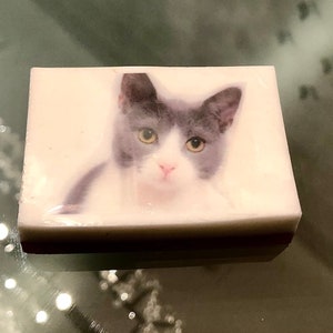 May include: A white bar of soap with a printed image of a gray and white cat looking directly at the camera.