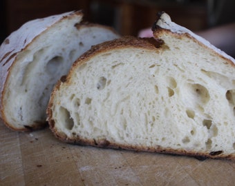 Artisan Sourdough Starter with Feeding Flour