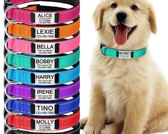 Custom Dog Collar, Custom Pet Collar, Personalised Pet Tag, Custom Cat Collar, Dog Leash, Luminous Dog Collar