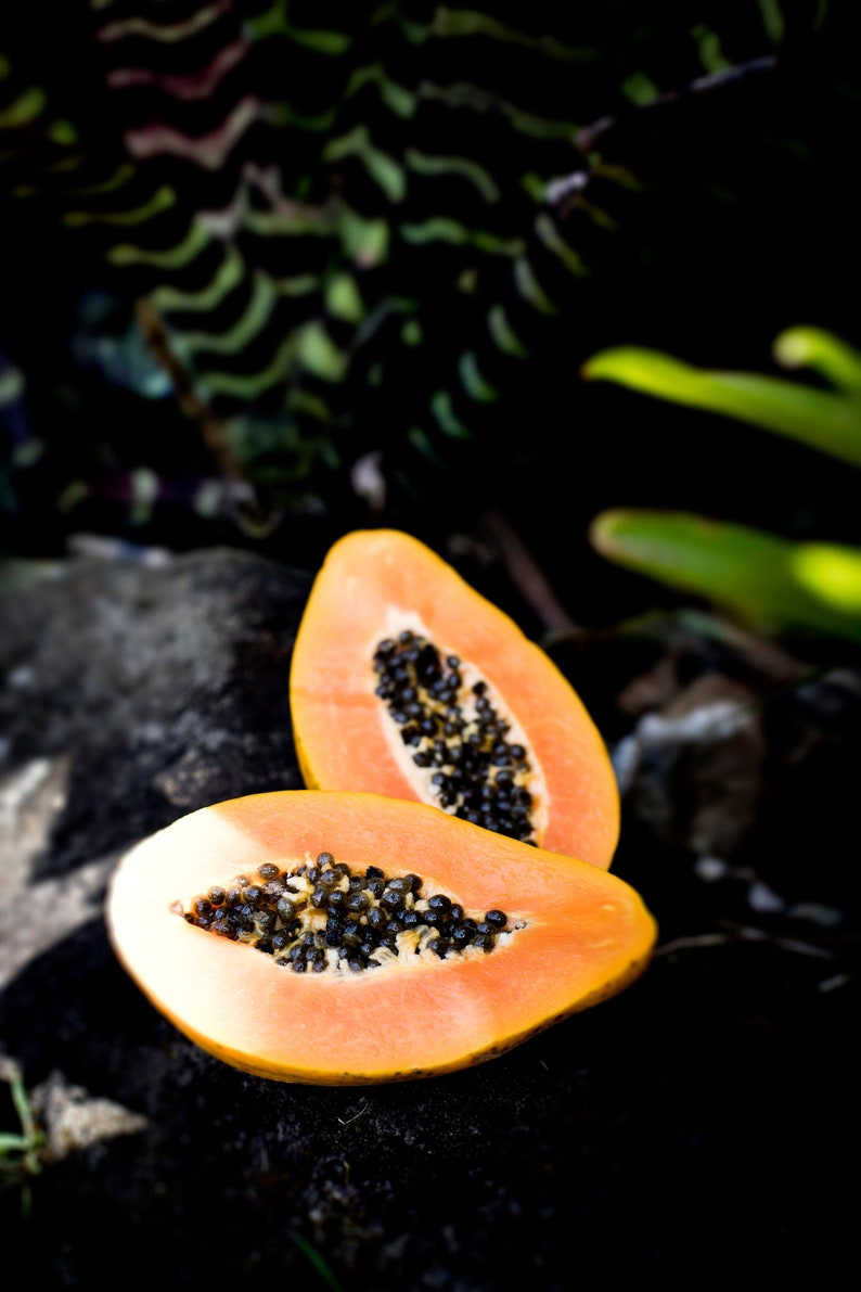Hawaiian Non GMO Sunrise Papaya Seeds Etsy Canada