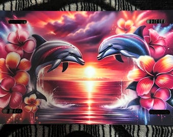 Nueva matrícula "Delfín"