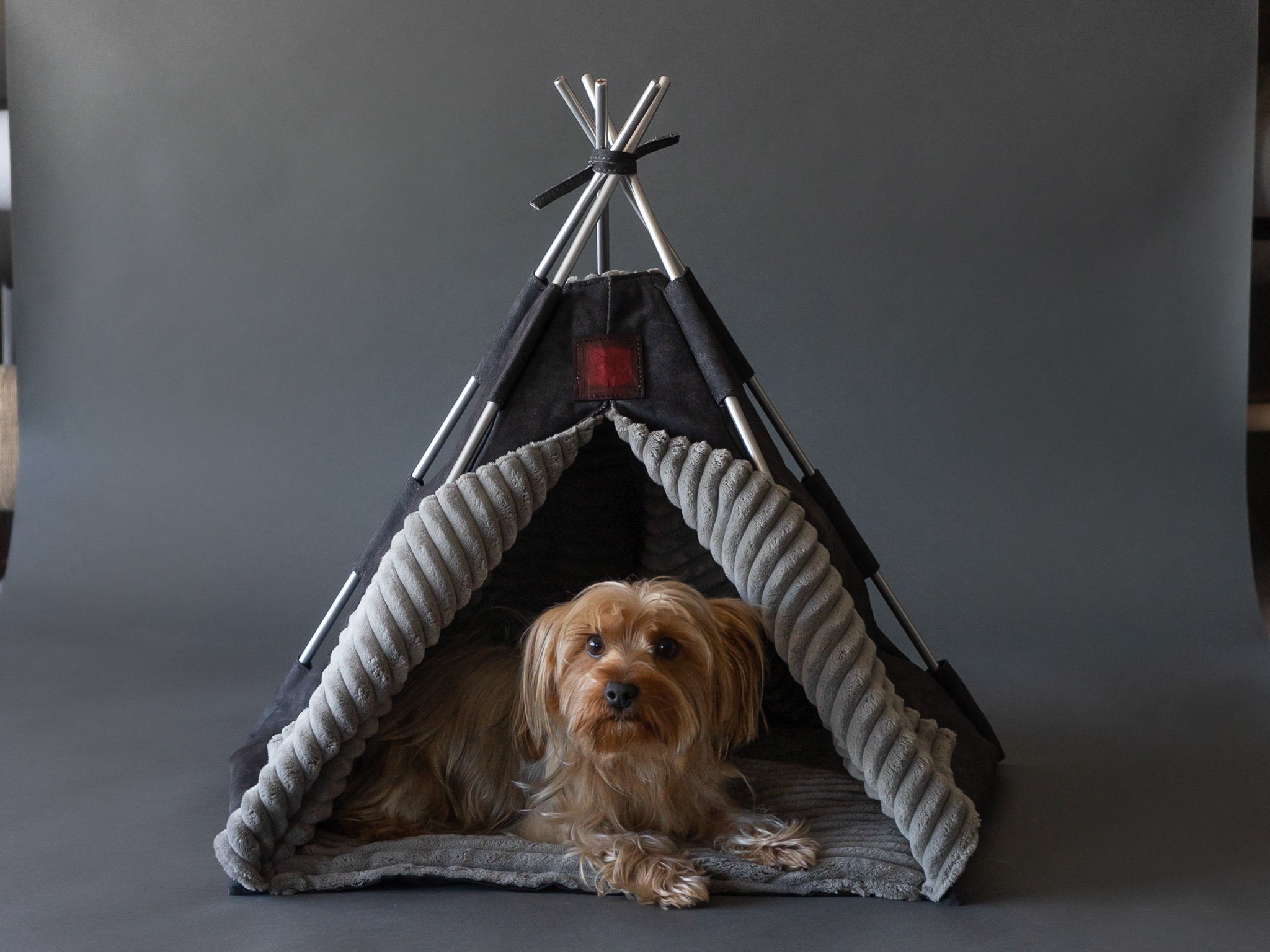 etsy dog teepee