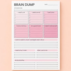 May include: A white paper planner sheet titled BRAIN DUMP with a date line and a main goal section. It features six pink boxes for tasks like call, email, text, appointments, and follow-ups, plus lines for research, buying, and priorities.