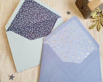 Blue envelopes - winter evening
