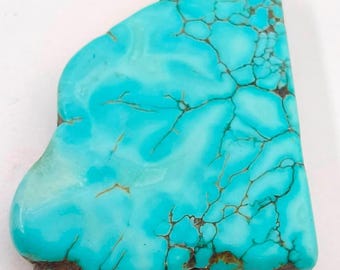May include: A polished, irregular piece of bright turquoise stone featuring a smooth, glossy surface with intricate, dark brown matrix webbing running throughout the vibrant blue material, showcasing natural color variations and organic shapes.
