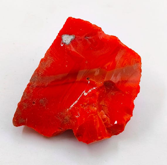 Branche De Corail Naturel Orange - Pierre Précieuse Italienne 210 Carats - Ancienne