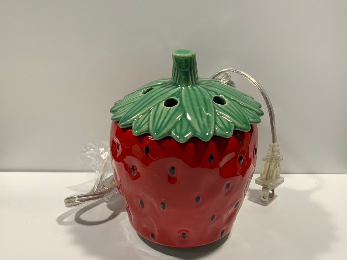 Pink Zebra Simmer Pots Etsy