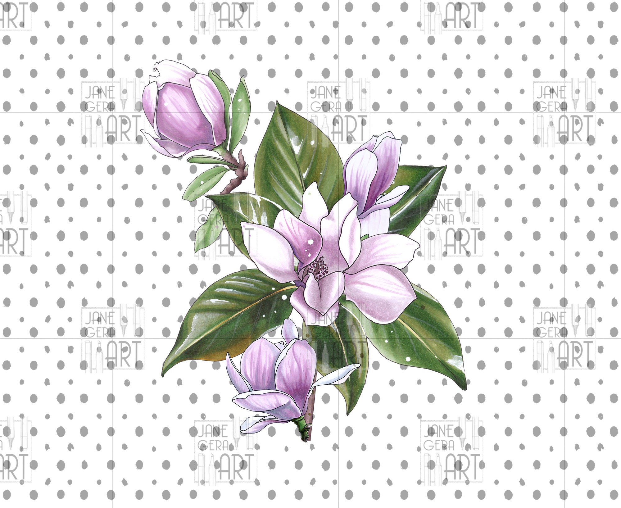 Magnolia flower clipart Botanical clipart digital downloads | Etsy