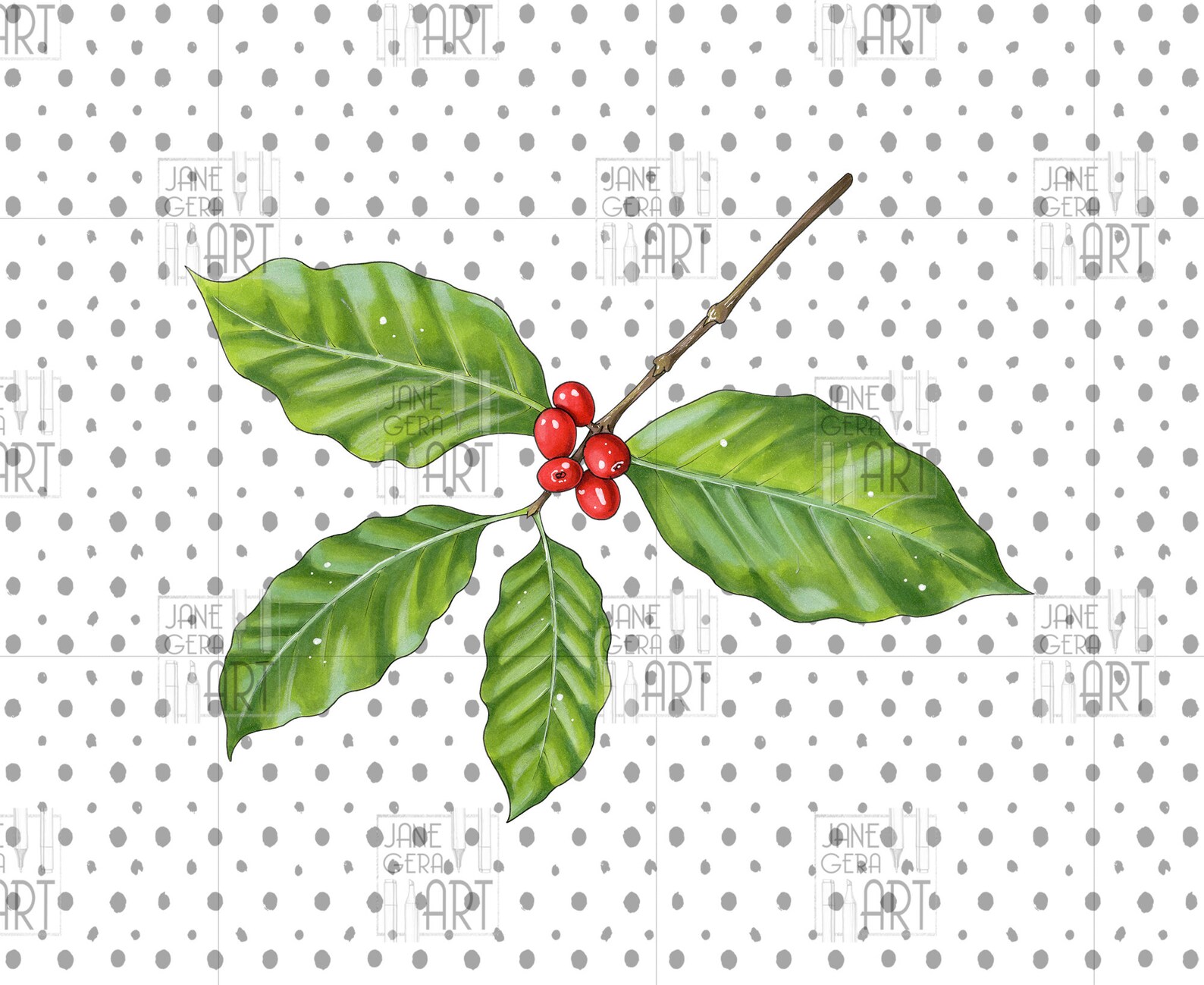 Botanical clipart Coffee plant clipart digital downloads | Etsy