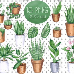 House plants PNG clip art Greenery clipart digital download