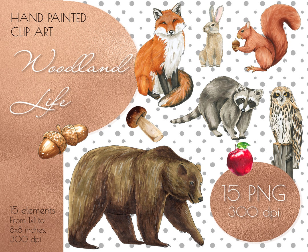 Woodland Clipart Bear Clip Art PNG Owl PNG Digital Download - Etsy