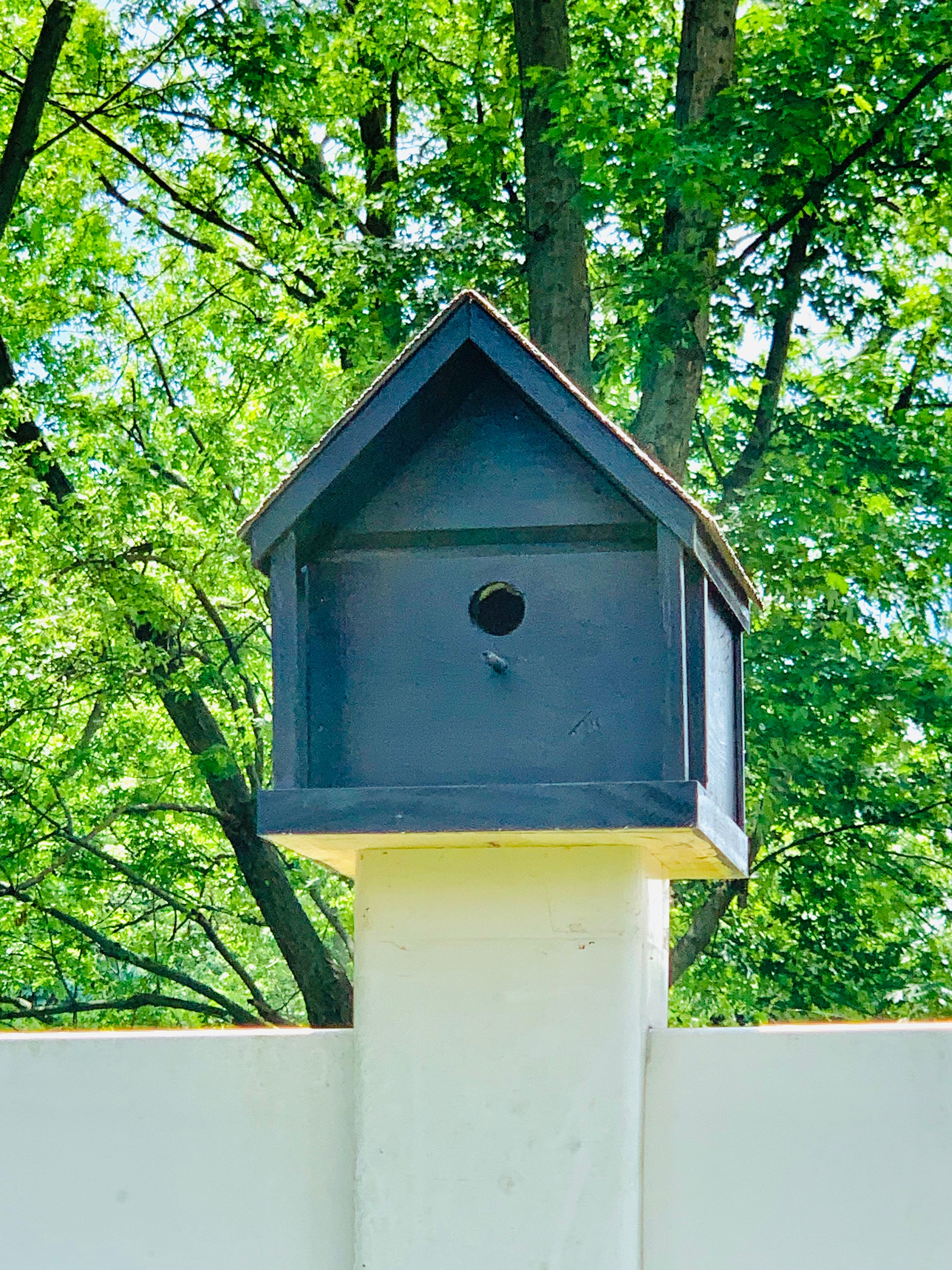 Hot tub rules sign for outdoor use with a list of health and Handmade wooden birdhouse | Etsy