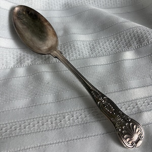May include: A silver-toned metal spoon featuring an oval bowl and a decorative handle with an embossed shell motif at the base and intricate linear detailing along the stem. The metal surface shows signs of natural tarnish and patina throughout.