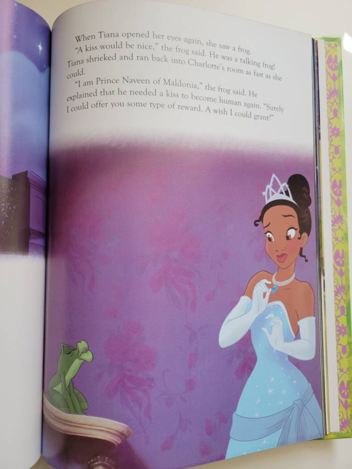 The PRINCESS and the FROG by DisneyA Read Aloud Storybook Etsy