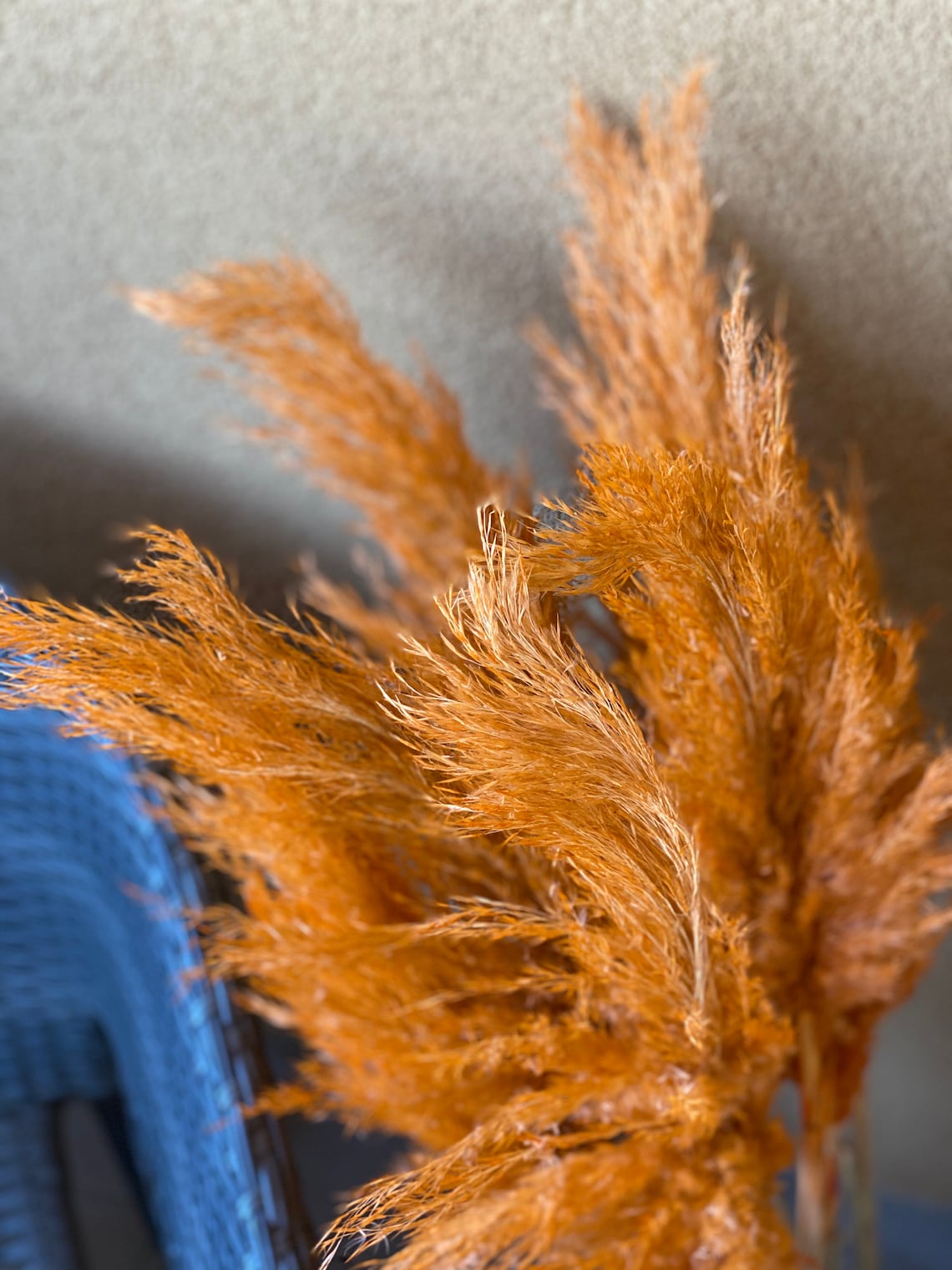 Dried Pampas Grass Decor Large Orange Pampas Grass Tall Etsy