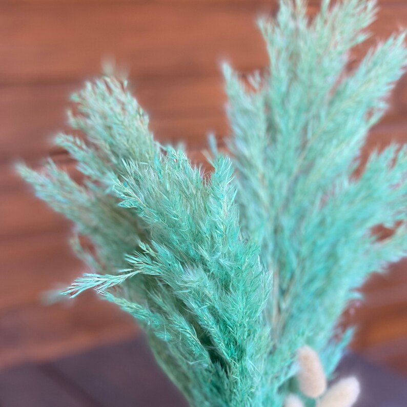 Dry pampas grass Feather reed grass Vase fillers Wildflower Etsy