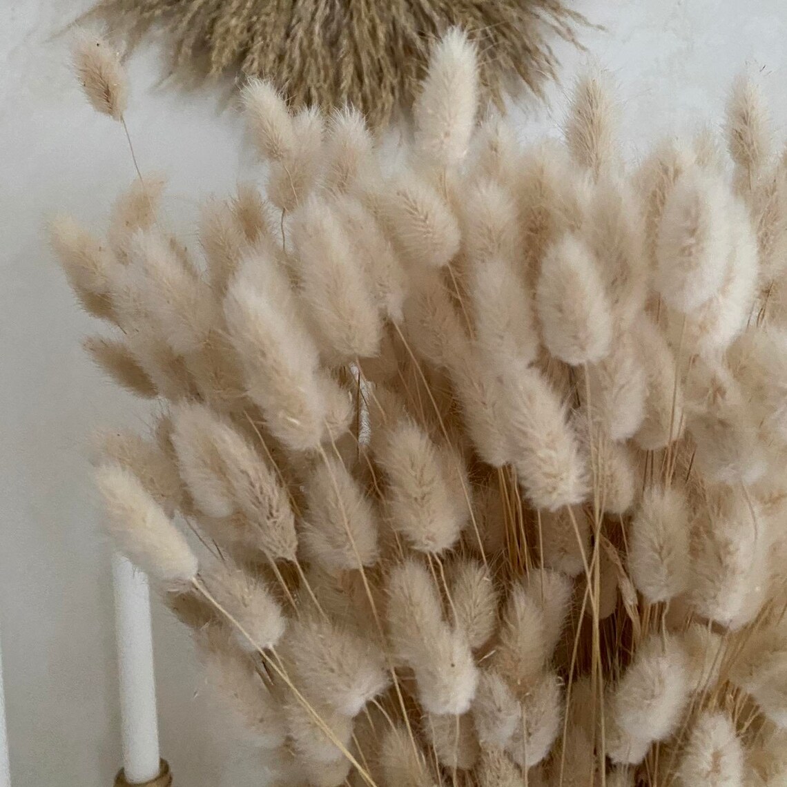 Lagurus Bunny tail grass Canary grass Dried flower bouquet Etsy