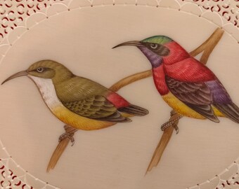 Pintura de aves tropicales pintadas a mano, decoración del hogar, regalo para amantes de las aves, original hecho a mano, aves del paraíso colorido arte mural