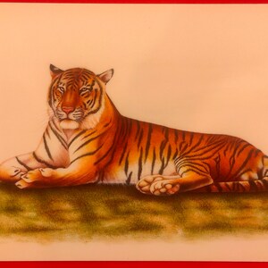 Hand Painted Royal Bengal Tiger Detailed Indian Miniature Exquisite Art Work Home Decor Christmas Gift Rare Interior Rajasthani Art India