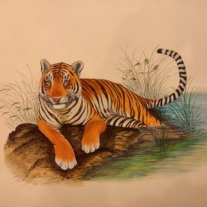 Finest Hand Painted Royal Bengal Tiger Animal Miniature Hand Painted , Intricate Original Indian Rajasthani Fine Animal Wall Decor Art Work