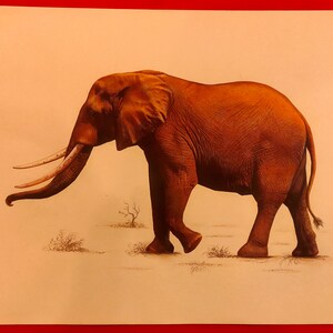 Elefante Finest Dipinto a mano Vita selvaggia Opera d'arte tradizionale su carta, intricato elefante ritratto pittura stanza Decor Pittura originale Pittura originale