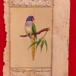 Hand Painted Parrot Bird Birds Miniature Painting India Art on Old Paper Nature