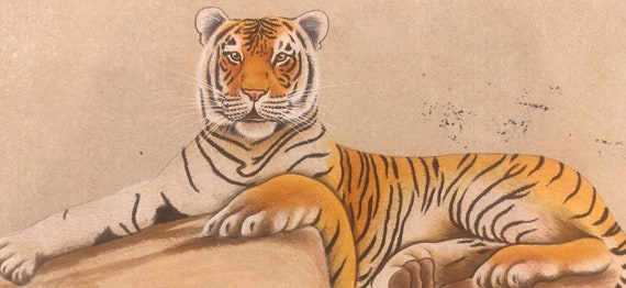 3dRose Royal Bengal, Close Up, Tadoba Andheri Tiger Reserve Drawing Book,  Multi-Colour, 8 x 8-Inch : Amazon.co.uk: Stationery & Office Supplies