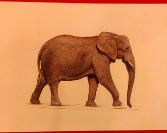 インドの細密画：紙に描かれた象の複合動物アート - Etsy 日本